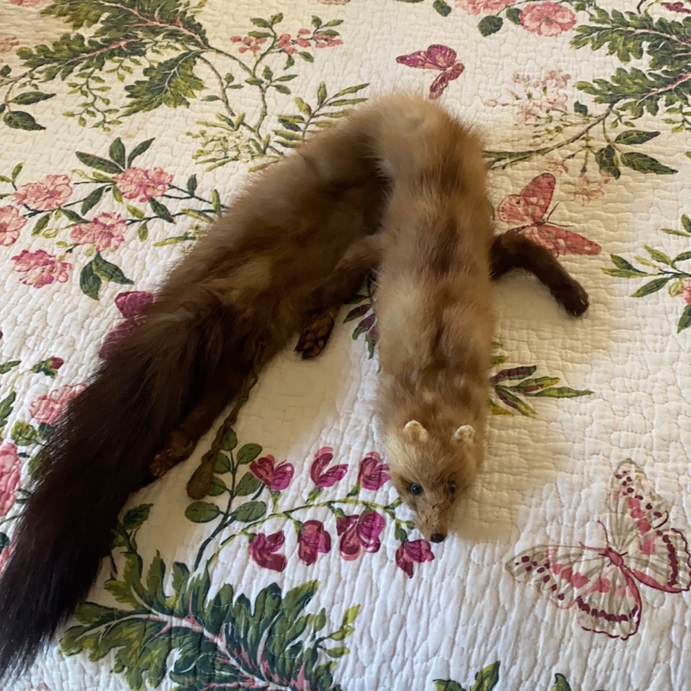 Mink scarf